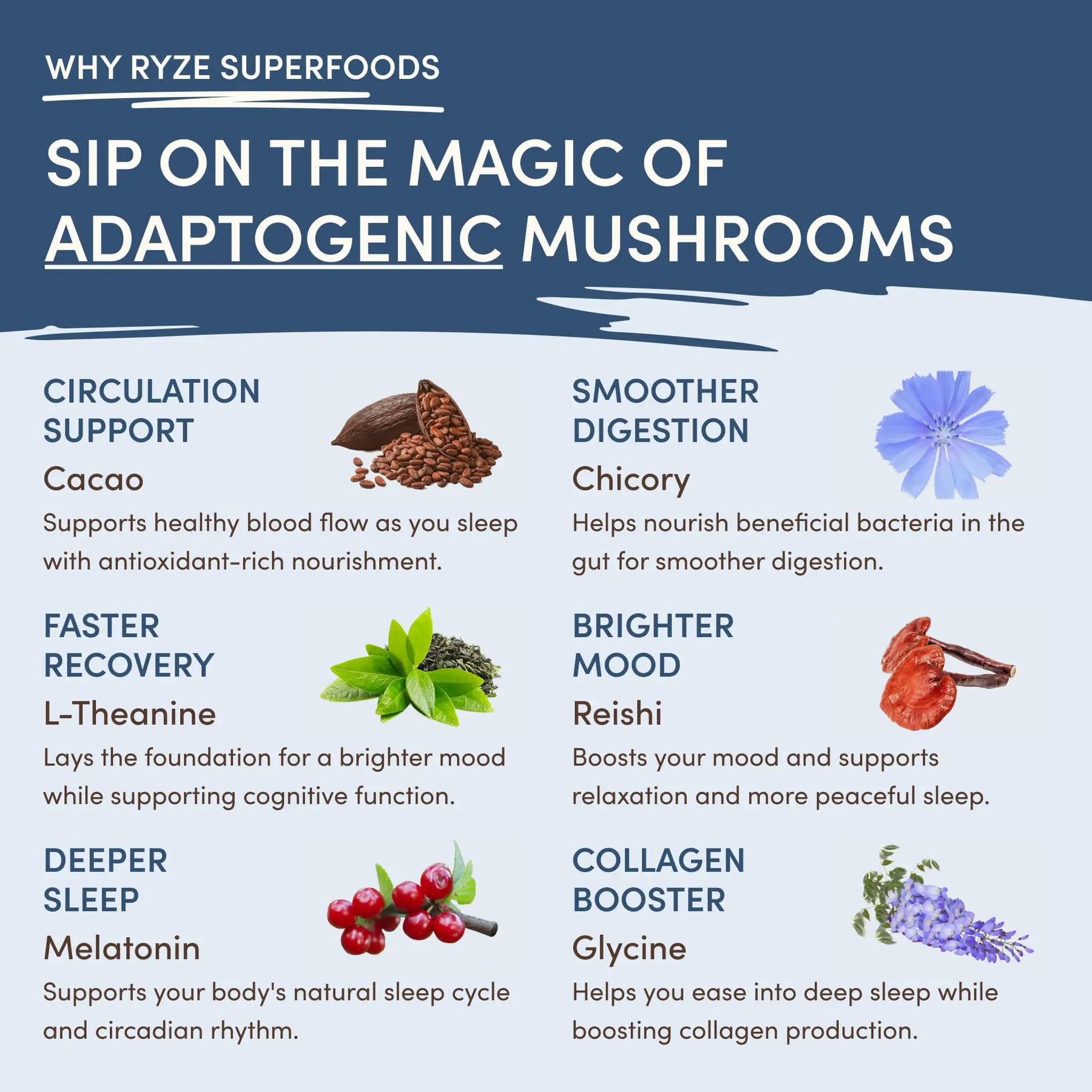 Ultimate Day + Night Bundle (Coffee + Matcha + Cocoa)
